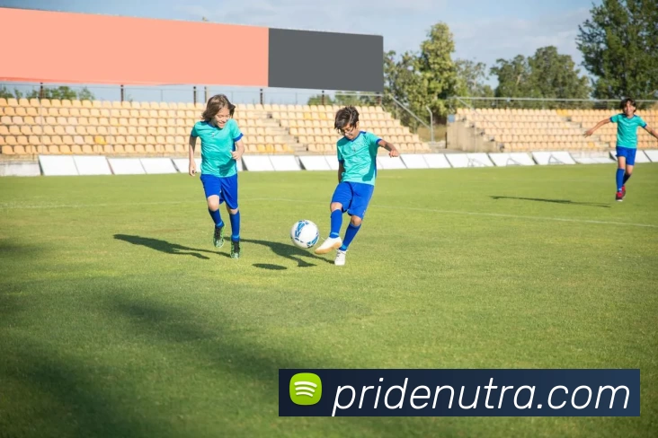 App Interface Preview