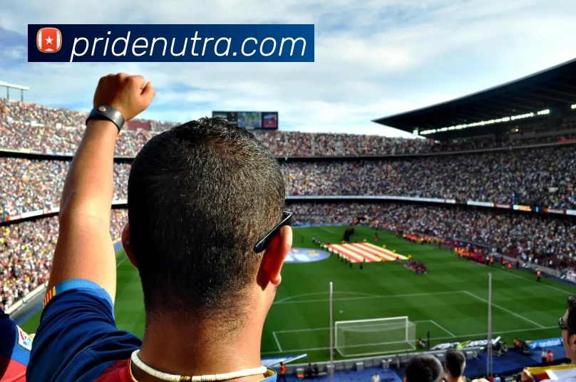 乐鱼体育官方网站APP 封面图